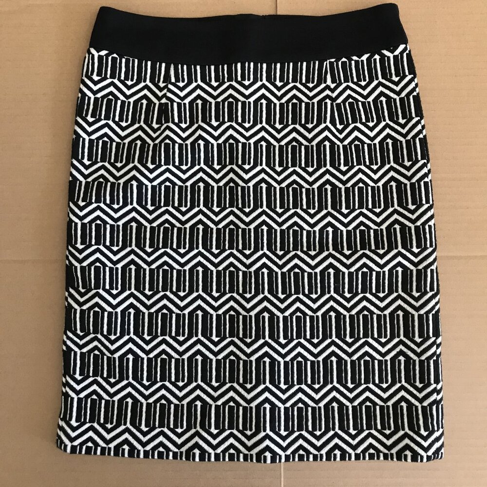 Banana Republic Skirt Petite